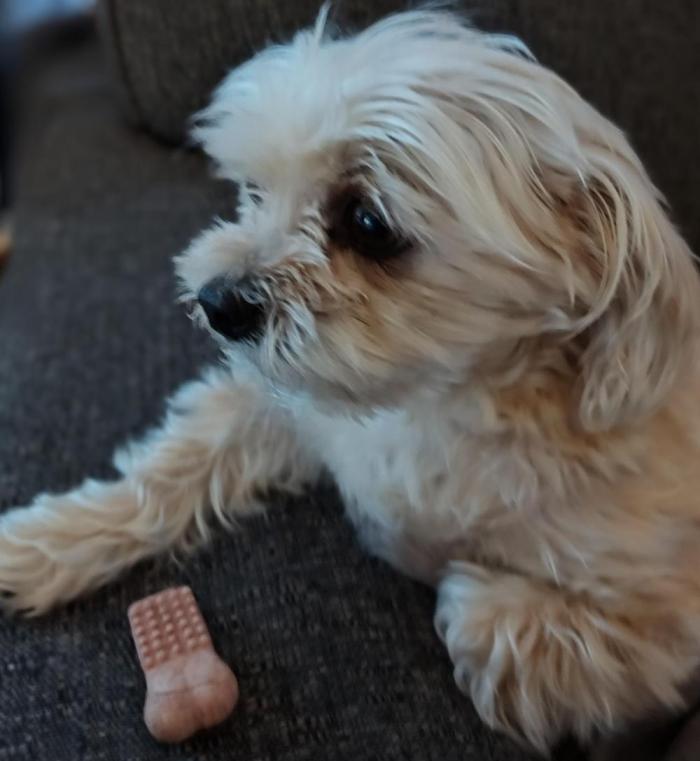 Pound Cake Auto. Week 1