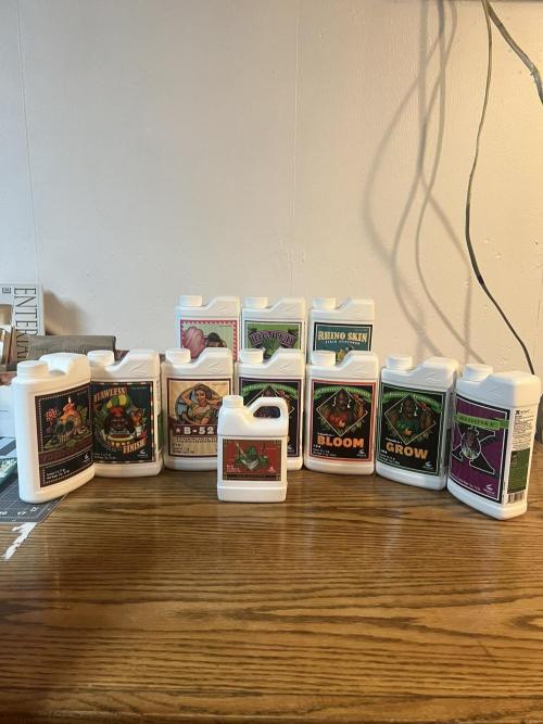 Tropical Cooler | Atlas Seeds. Week 8 - I won all these in the AN Giveaway! 0 worth of nutrients