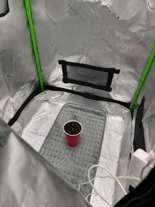 Humboldt CSI | Lil' Red Riding Hood. Week 0