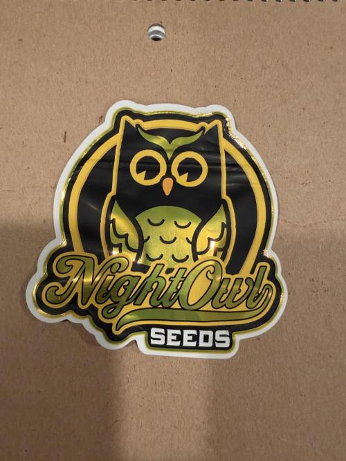 Scoopski F2 | Night Owl Seed | AUTO. Week 0