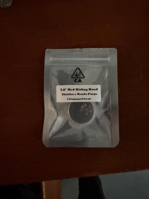 Humboldt CSI | Lil' Red Riding Hood. Week 0