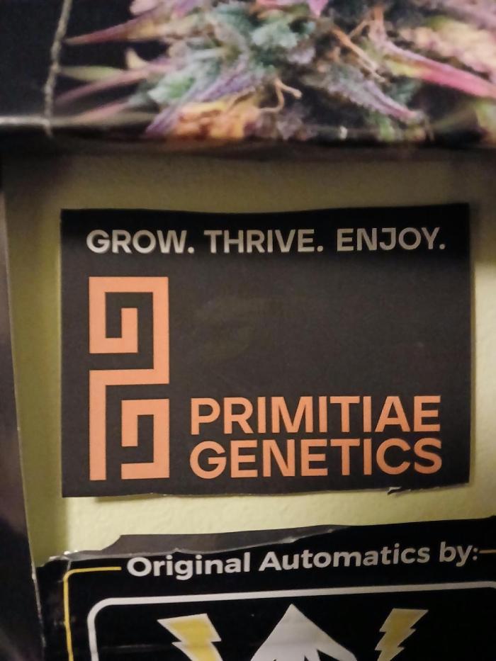 Polaris (lst+topping. Week 0