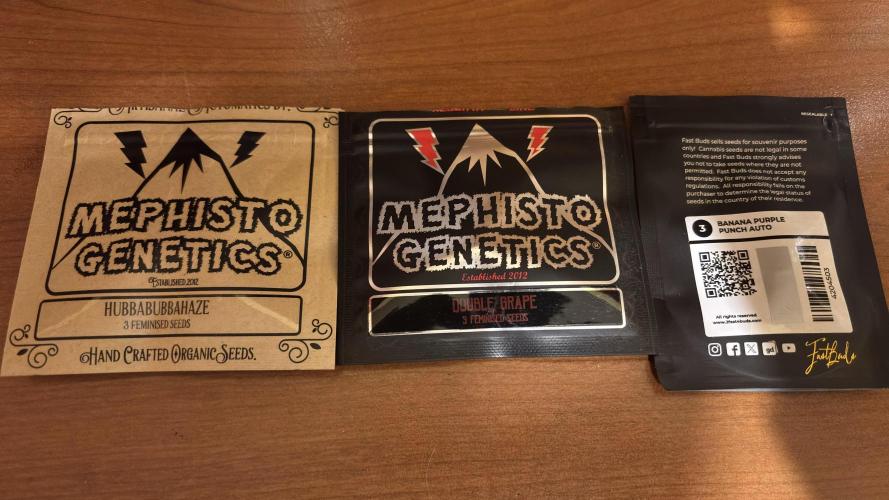 #2 Meph vs Fast. Week 0