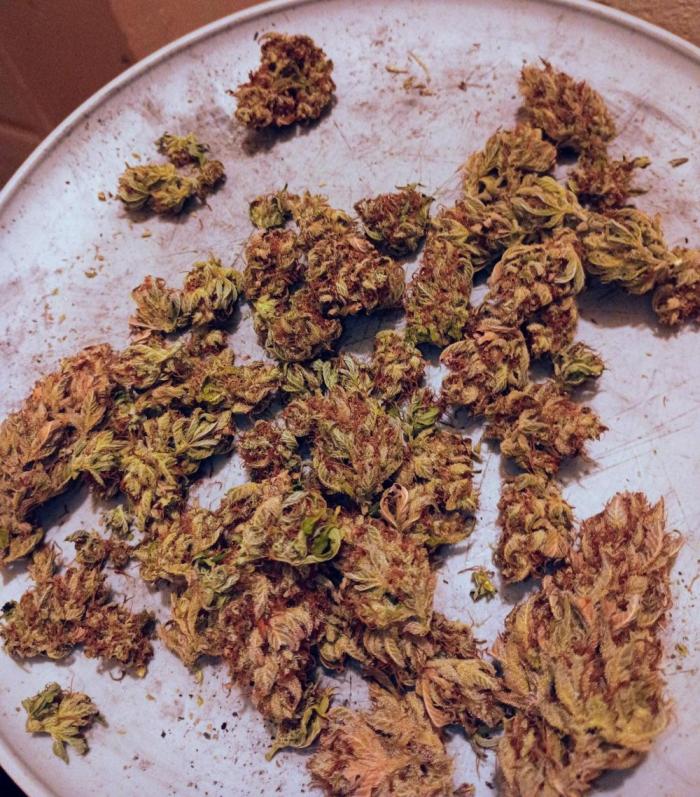 Sponsored by myself. Week 10 - One of the jars as it cures. Great quality smoke
