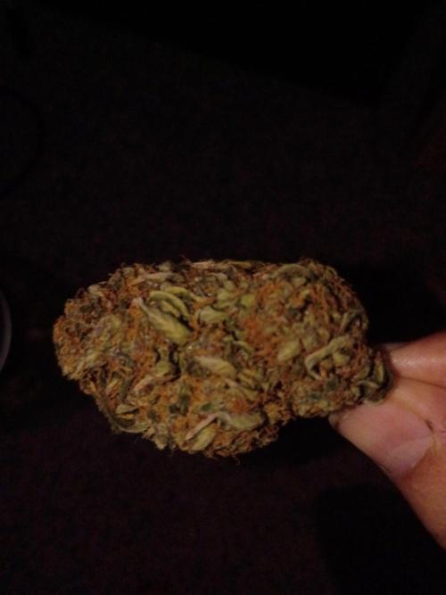 Exotic strains from 42 fast buds!!. Week 7 - Here's what this lady looked like after dry and trim