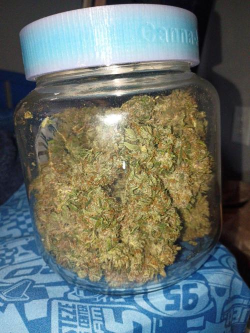Growers choice seeds Co!!. Week 6 - Curing !! :)