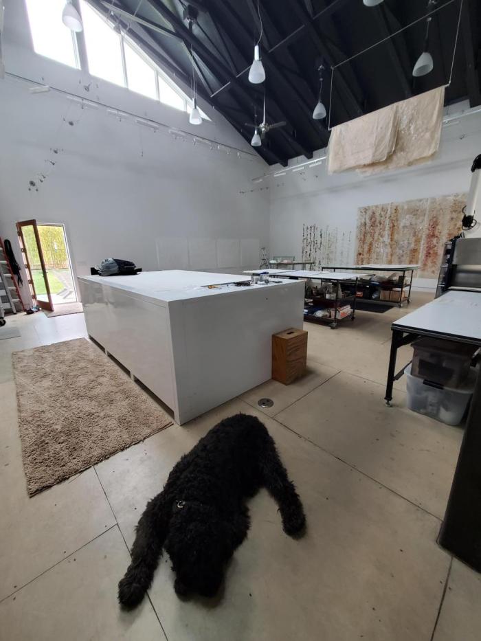 Fruity Pebbles. Week 9 - (Placeholder) - flipped to flower 12/4