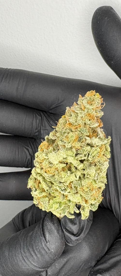 Frozen Biscotti. Week 13
