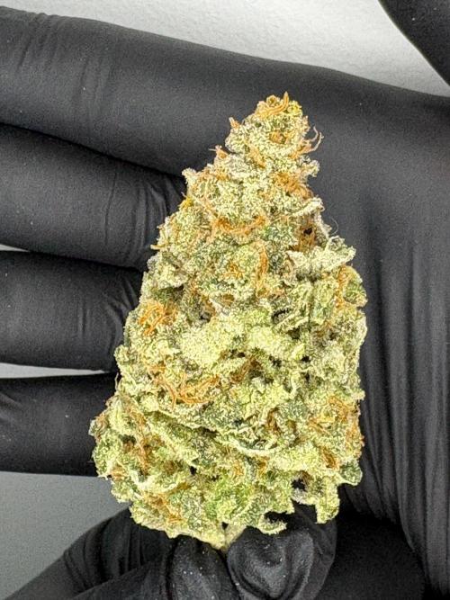 Frozen Biscotti. Week 13