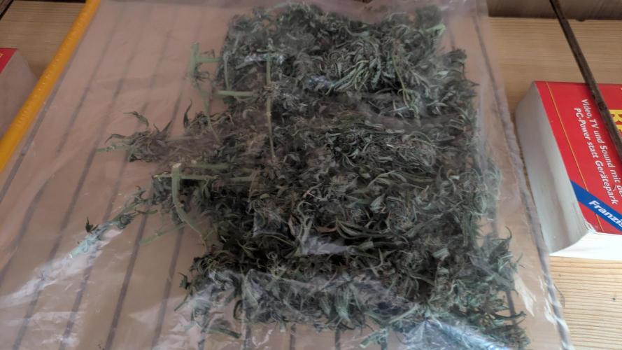 Indoor Grow. Week 14