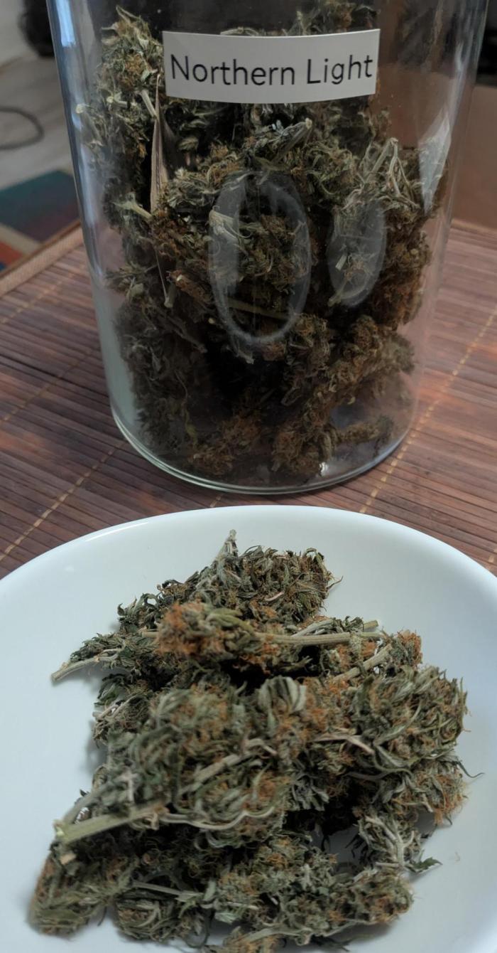 Indoor Grow. Week 14