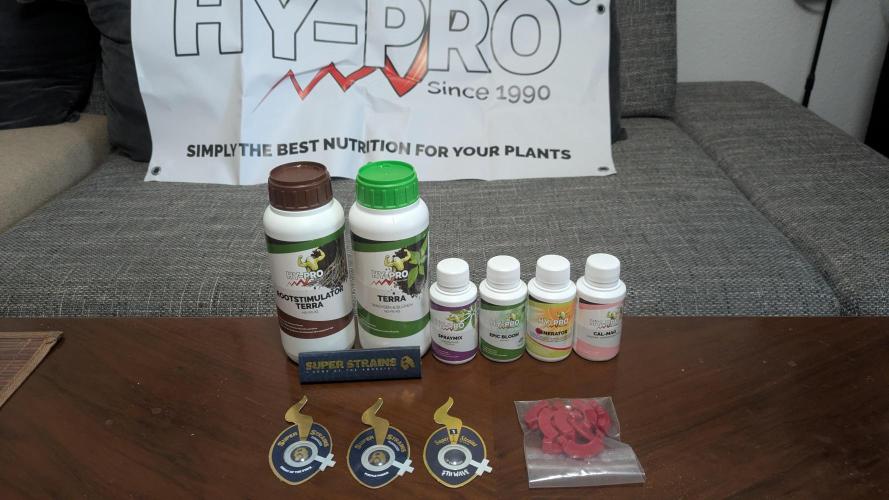 The 7th Wave. Week 0