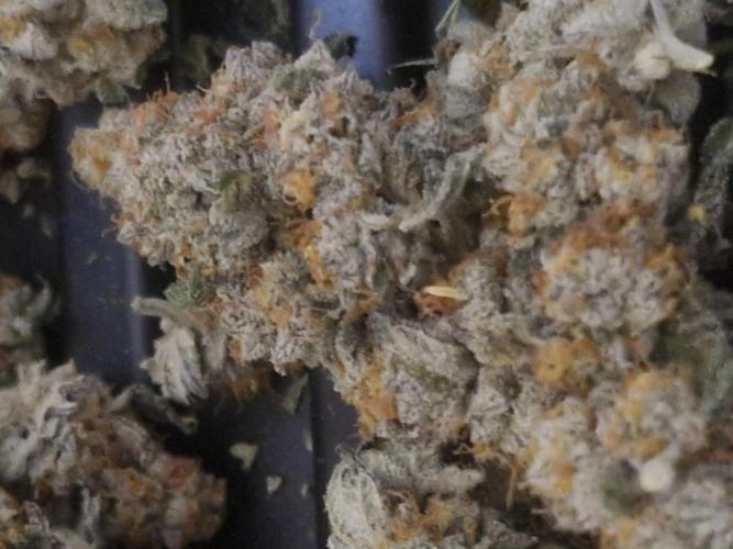 Auto northern lights. Week 8