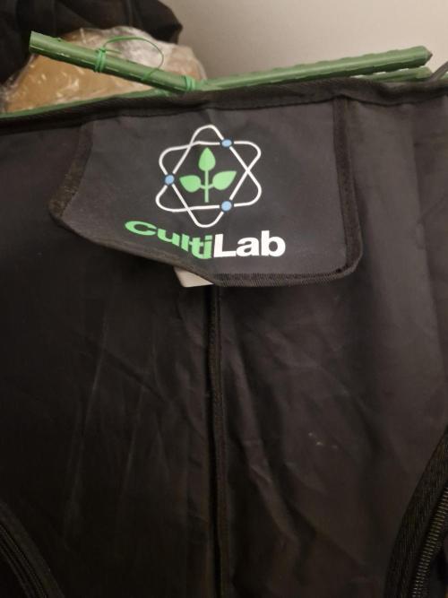 Black lebanon. Week 9