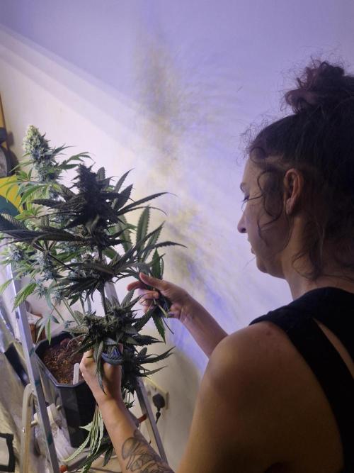 Permanent Marker!¡!. Week 13 - Loving life right now