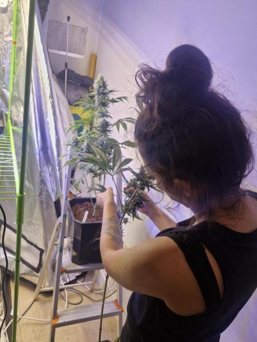 Permanent Marker!¡!. Week 13 - The wife doing her thing