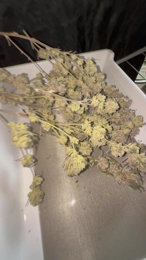 TAX Bracket #5