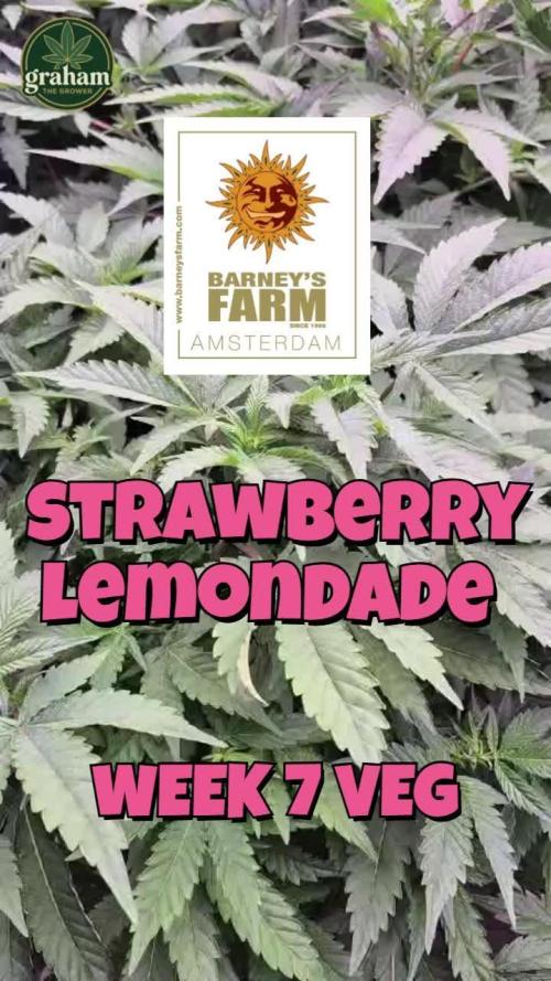 Growing with Atami December 2025