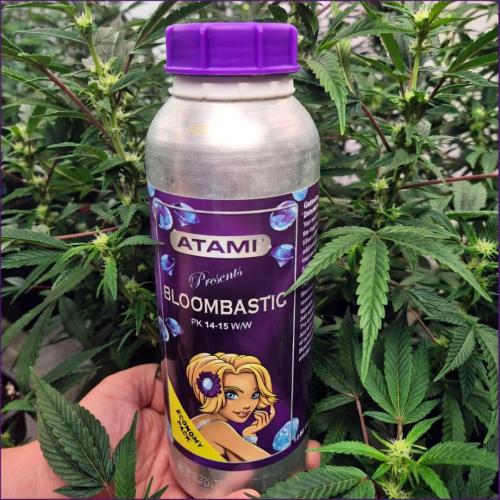 Grow with Atami Indoor 3. Week 11