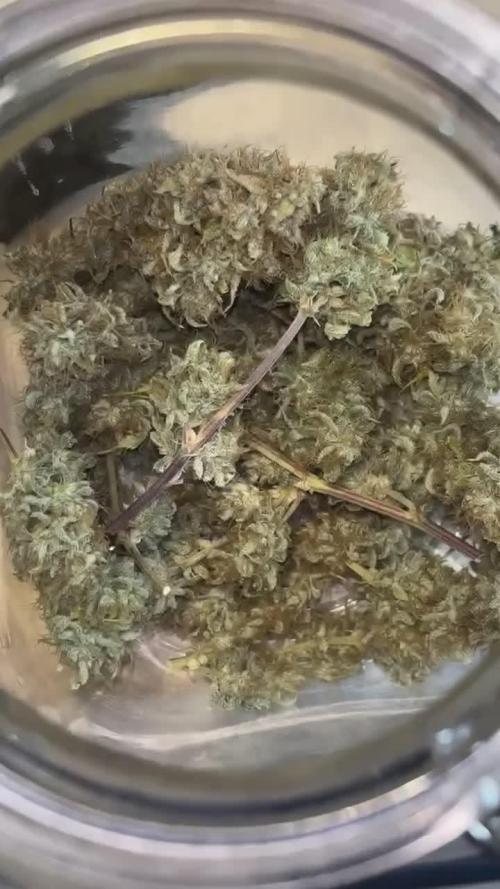 First Grow
