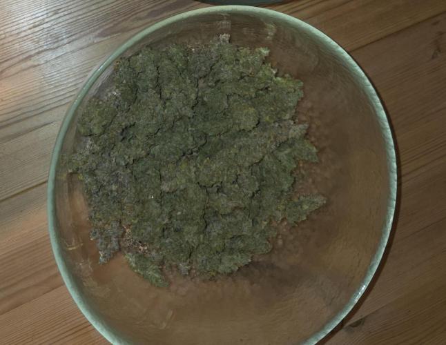 Gorilla Zkittlez. Week 16