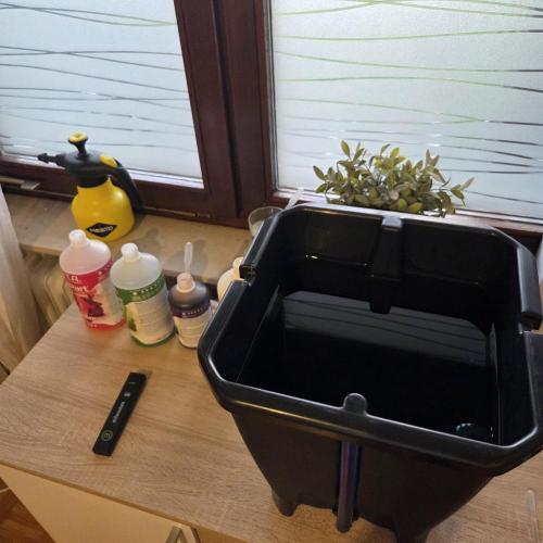 Pound Cake Auto. Week 3