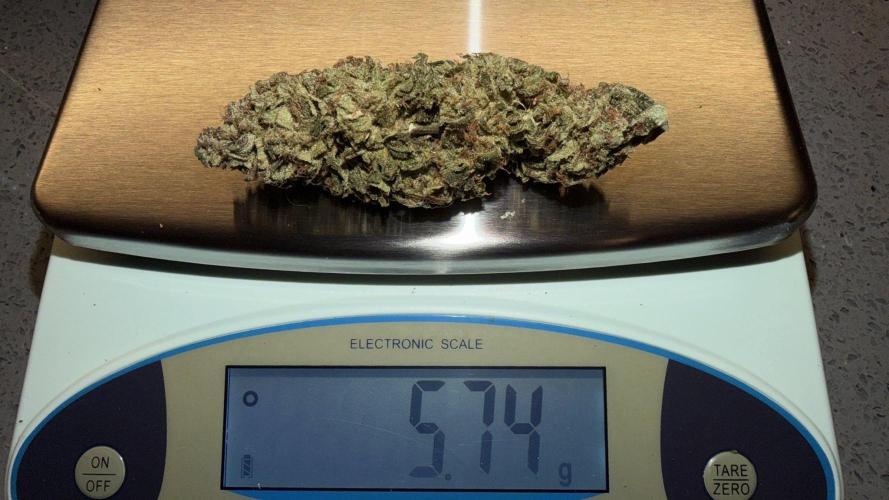 Bag Seed Adventure!. Week 18 - One of Duckfoot's main colas