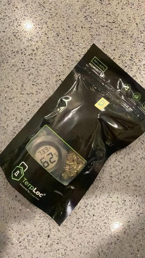 Bag Seed Adventure!. Week 18 - Looking good.