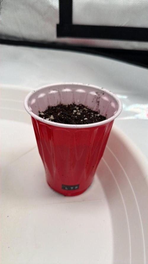 710 Labs Bag Seed: LTP. Week 0