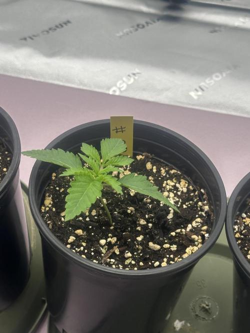 Dialed In: Environment First. Week 1