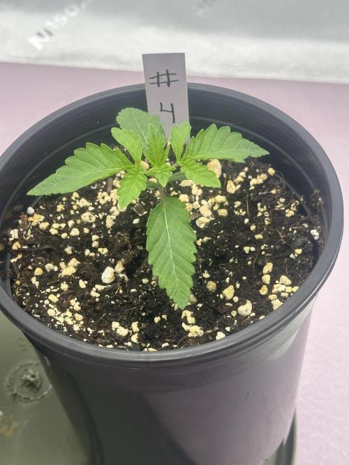 Dialed In: Environment First. Week 1