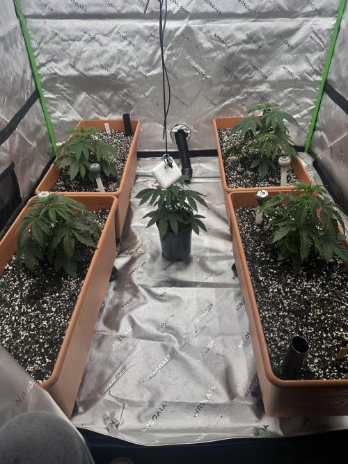 Dialed In: Environment First. Week 3