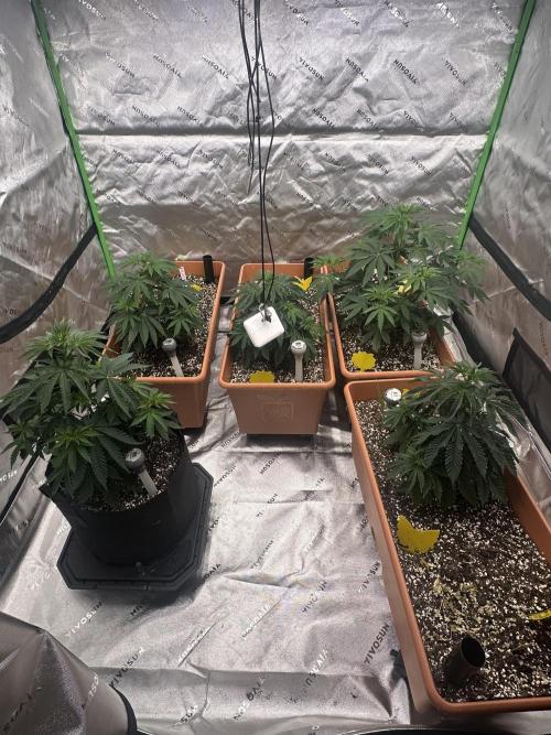 Dialed In: Environment First. Week 4