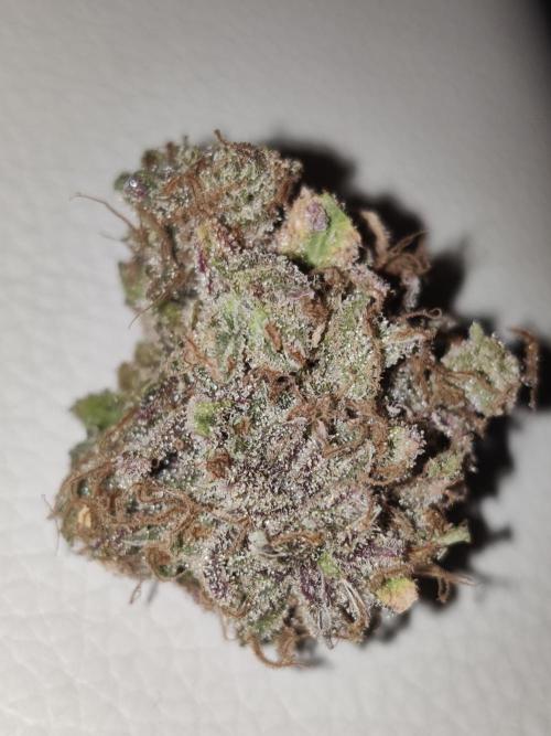 Zkittlez. Week 20