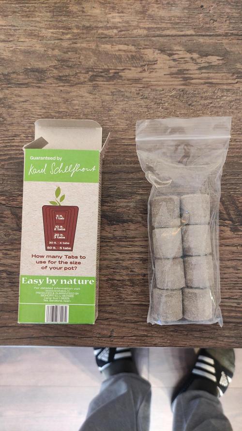 Sensi Skunk Auto. x6. Week 0