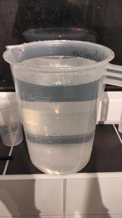 Sensi Skunk Auto. x6. Week 0