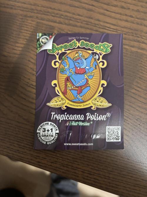 Hoping to achieve the red buds. Week 0