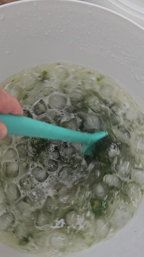 Outdoor : Original White Widow IBL