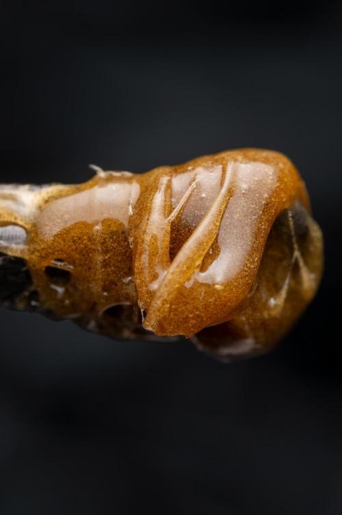 Outdoor : Original White Widow IBL. Week 27