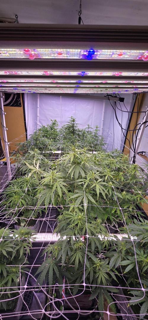 The old office. Week 2