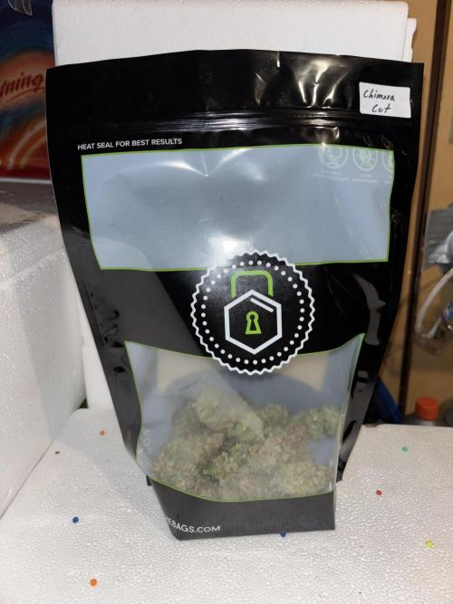 Cocos Grow No 1. Week 14