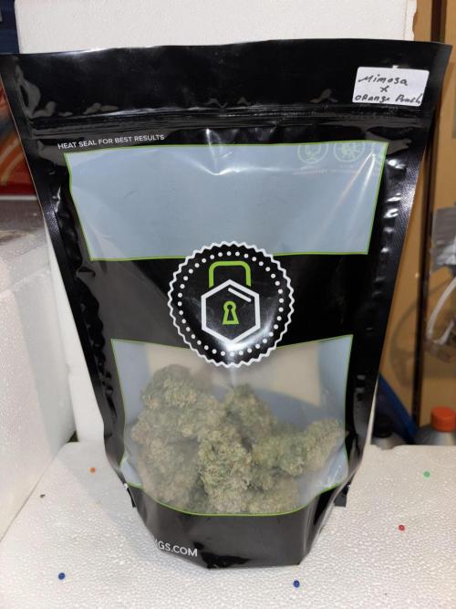 Cocos Grow No 1. Week 14