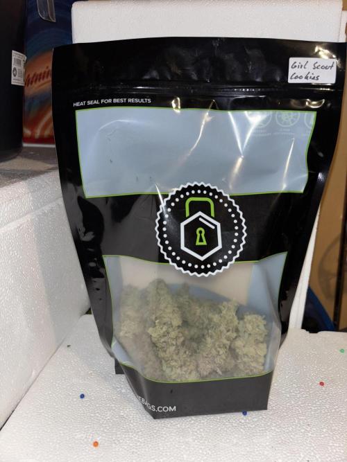 Cocos Grow No 1. Week 14