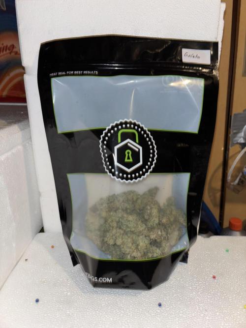 Cocos Grow No 1. Week 14