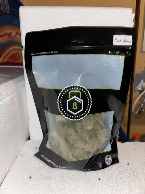 Cocos Grow No 1. Week 14