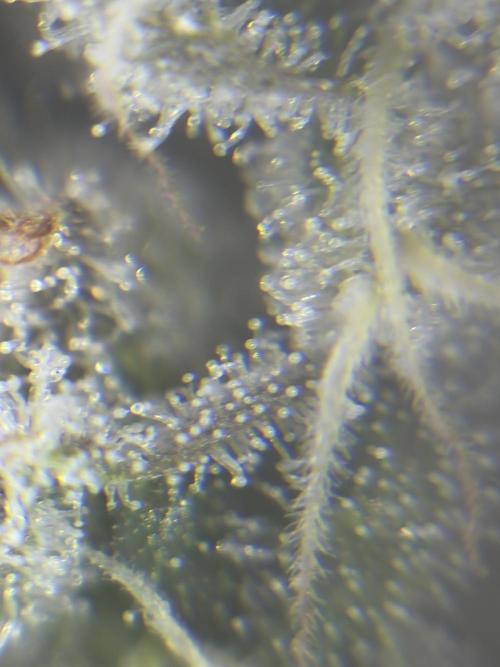 Method Mac. Week 14