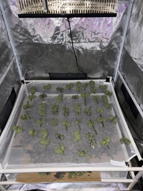 Method Mac. Week 15
