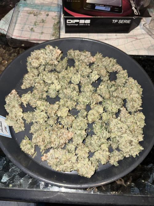 Method Mac. Week 15