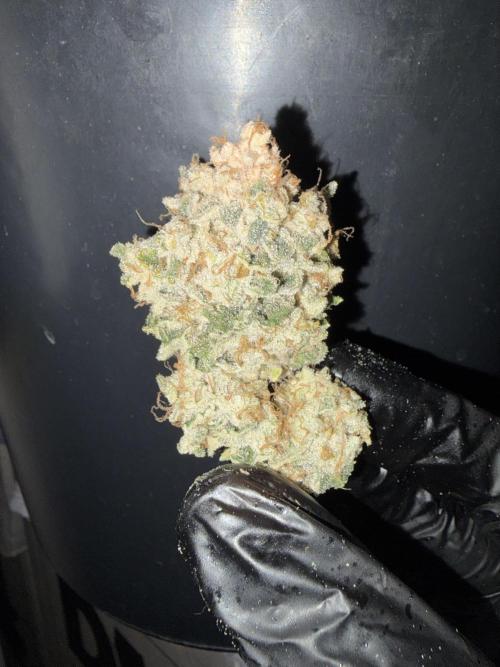 Method Mac. Week 15