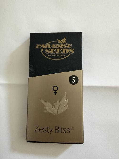Zesty Bliss. Week 0